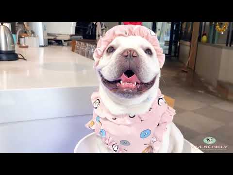French Bulldog Pajamas Loungewear PJs with Hat by Frenchiely