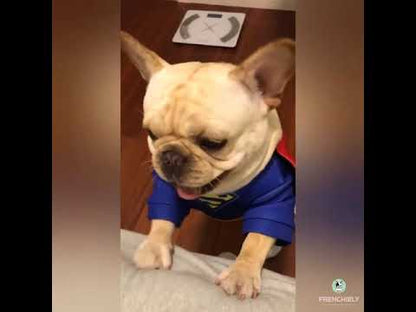 Dog Superman Cosplay Costumes For French Bulldog by Frenchiely