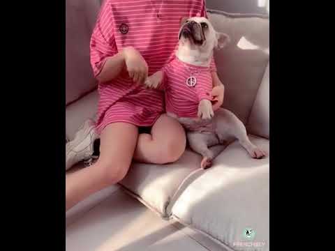 Stripe Dog Owner Matching Apparel by Frenchiely