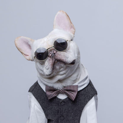 Dog Grey Suit Waistcoat Vest for Medium Dogs - Frenchiely