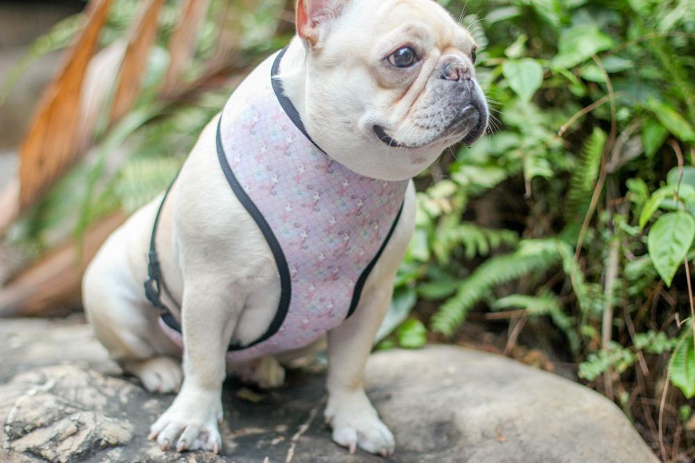 pink camo mermaid dog harness vest - Frenchiely