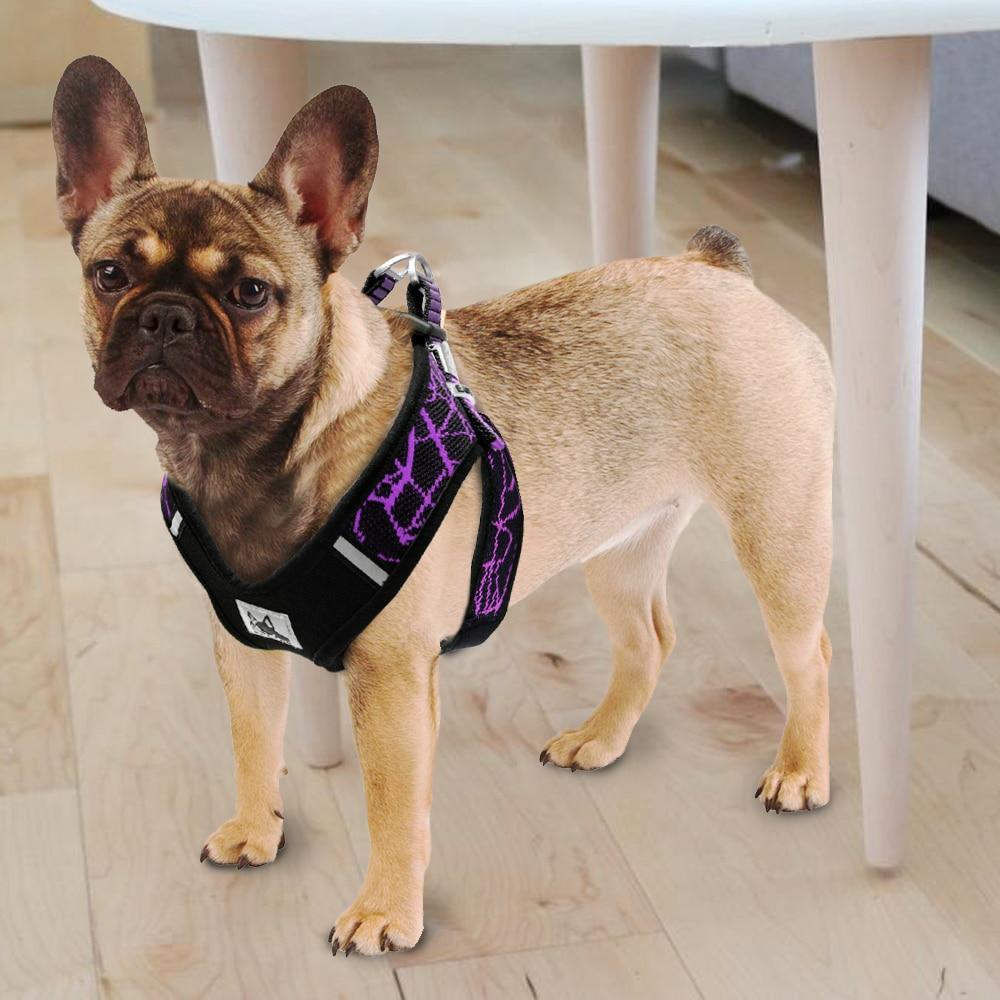 No Pull Mesh Step-in Dog Harness with Reflective Material - Frenchiely