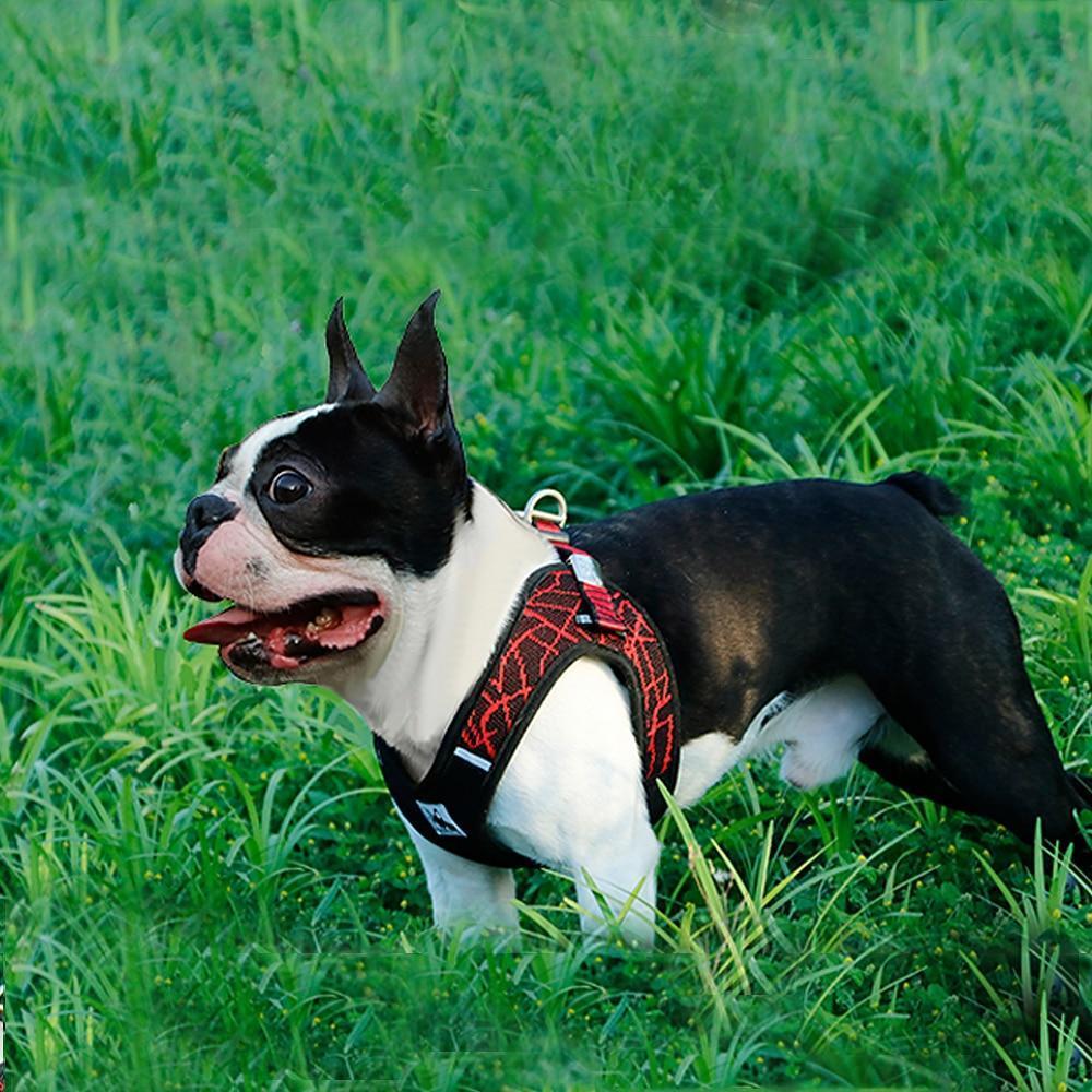 No Pull Mesh Step-in Dog Harness with Reflective Material - Frenchiely