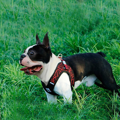 No Pull Mesh Step-in Dog Harness with Reflective Material - Frenchiely