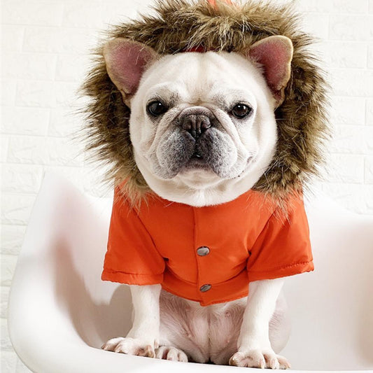 Large Hood Warm Down Coat for Medium Dogs - Frenchiely