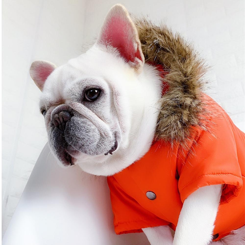 Large Hood Warm Down Coat for Medium Dogs - Frenchiely