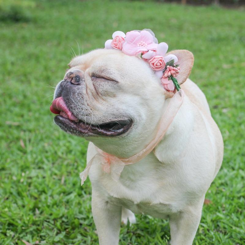 Dog Wedding Garland for Medium Dogs - Frenchiely