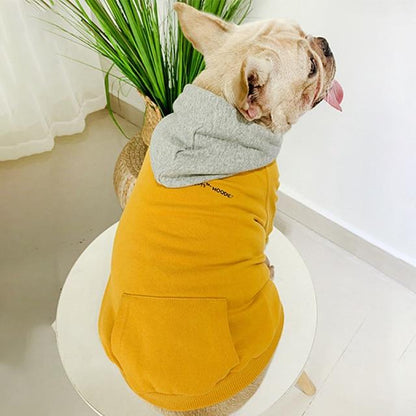 Matching Shirts for Me and My Dog - Frenchiely