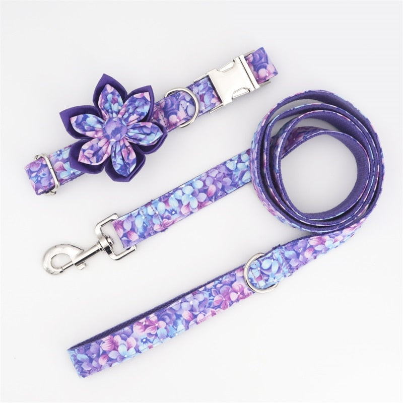Dog Purple Collar Chain Leash Set - Frenchiely