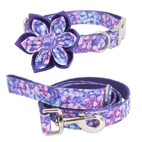 Dog Purple Collar Chain Leash Set - Frenchiely