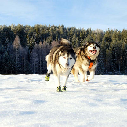 Dog Waterproof Rain Snow Boots Shoes Sneakers - Frenchiely