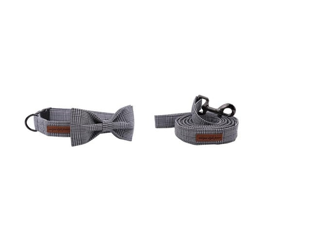 London Style Puppy Dog Collar - Frenchiely