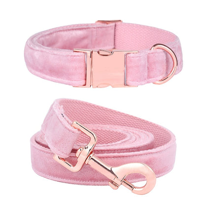 Female Girl Dog Puppy Collar for Medium Dogs - Frenchiely