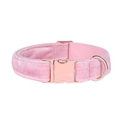 Female Girl Dog Puppy Collar for Medium Dogs - Frenchiely