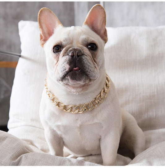 French Bulldog Golden Chain Decorative Collar - Frenchiely