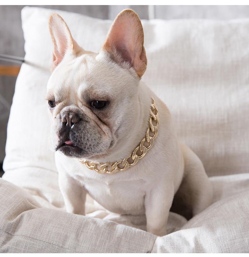 French Bulldog Golden Chain Decorative Collar - Frenchiely