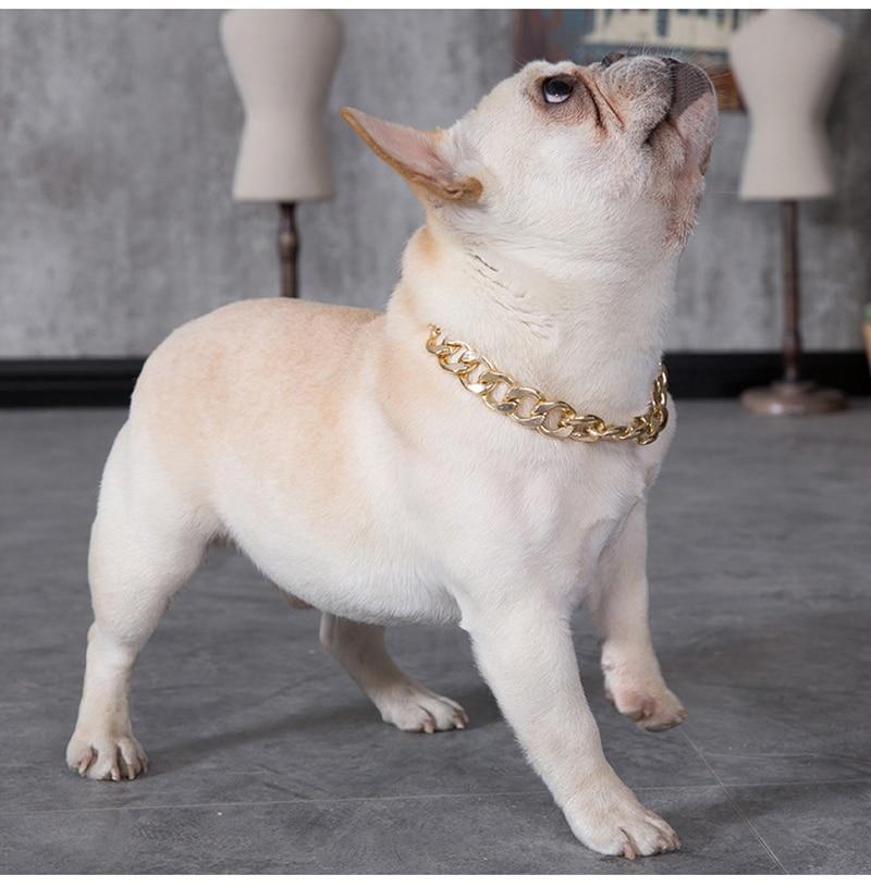 French Bulldog Golden Chain Decorative Collar - Frenchiely