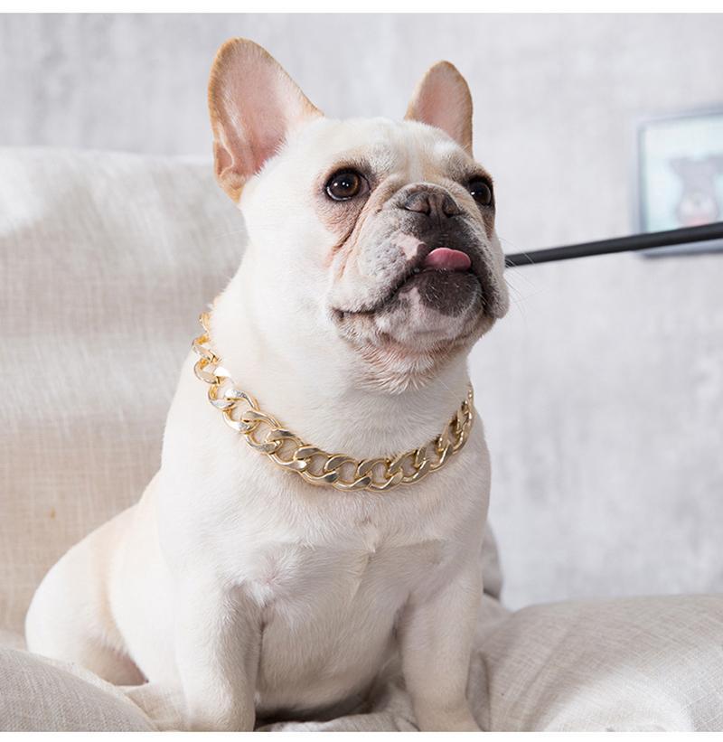 French Bulldog Golden Chain Decorative Collar - Frenchiely