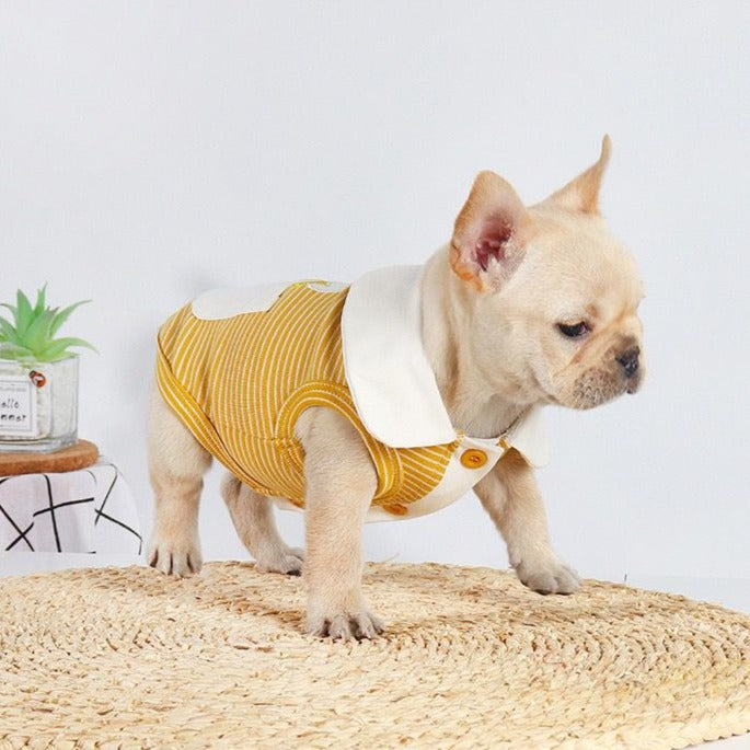 Frenchie puppy clothes shirts by Frenchiely