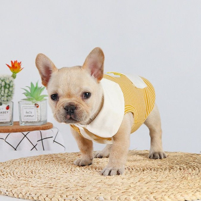 French bulldog puppy clothes shop