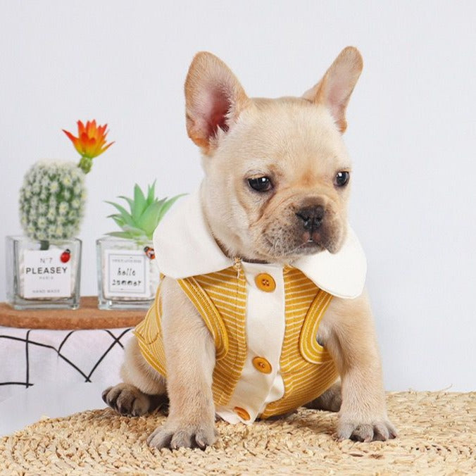 french bulldog puppy clothes by Frenchiely