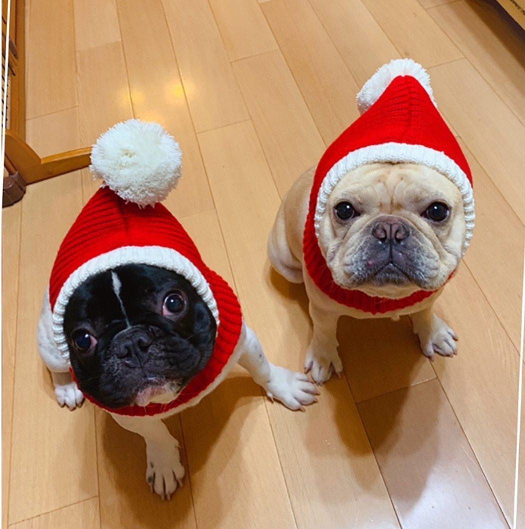 Dog Ear Warmer Christmas Knitted Hats for French Bulldog - Frenchiely