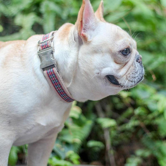 Adjustable Red Plaid Dog Collar for Medium Dogs - Frenchiely