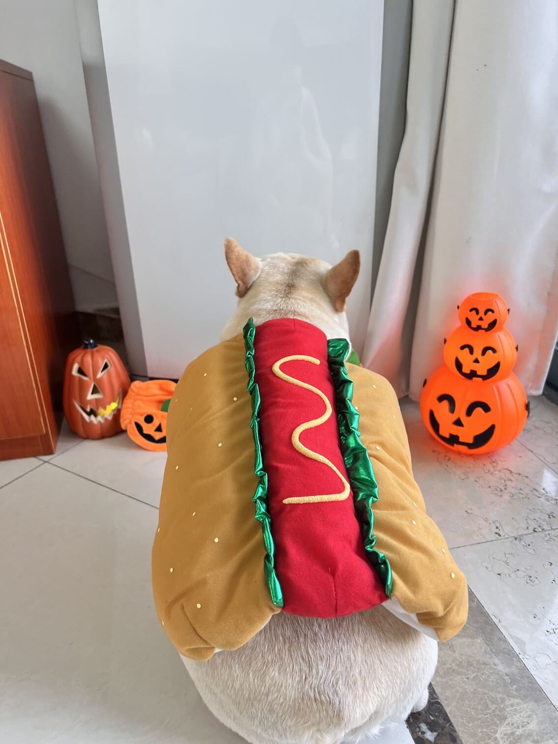 wiener dog hot dog costume for small dog breeds