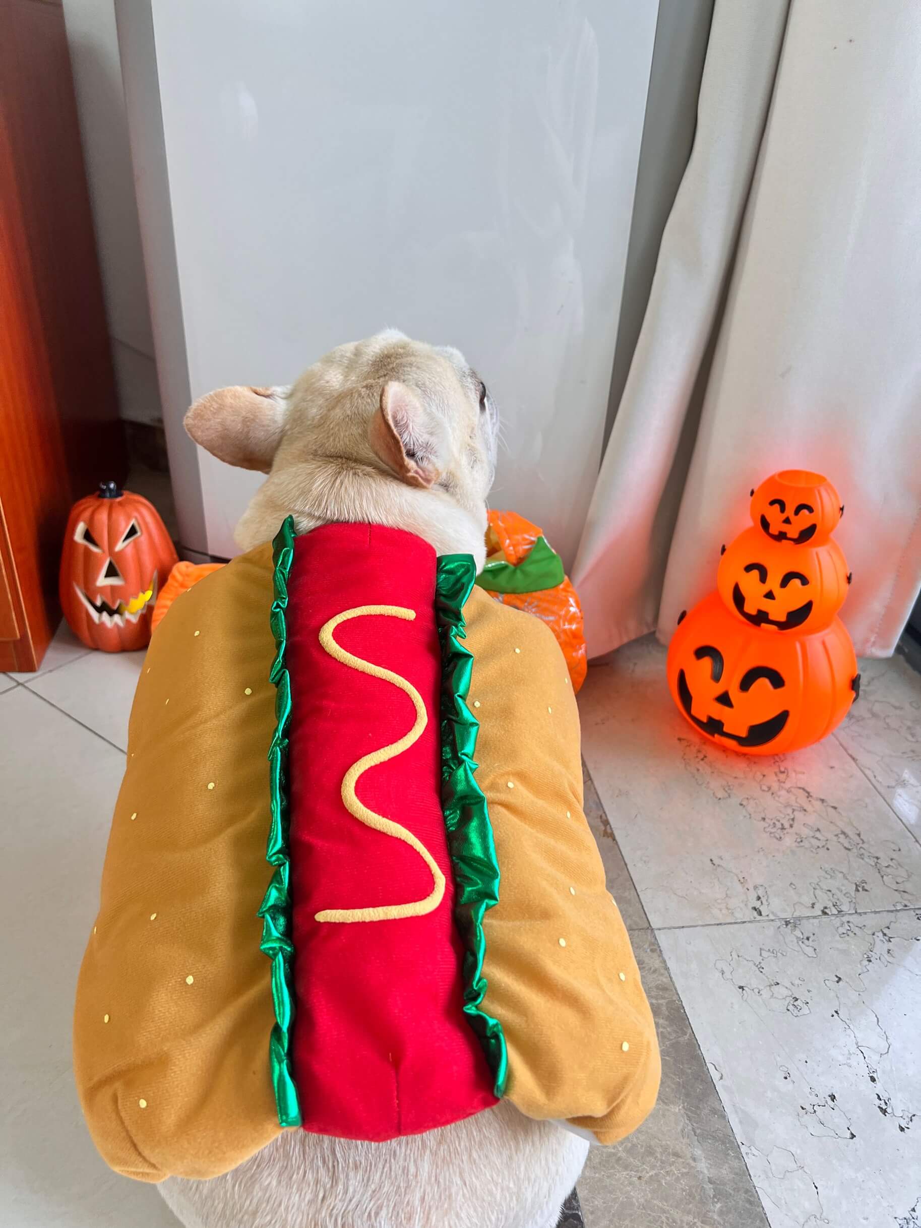 hot dog bun dog costume for dogs by Frenchiely.com