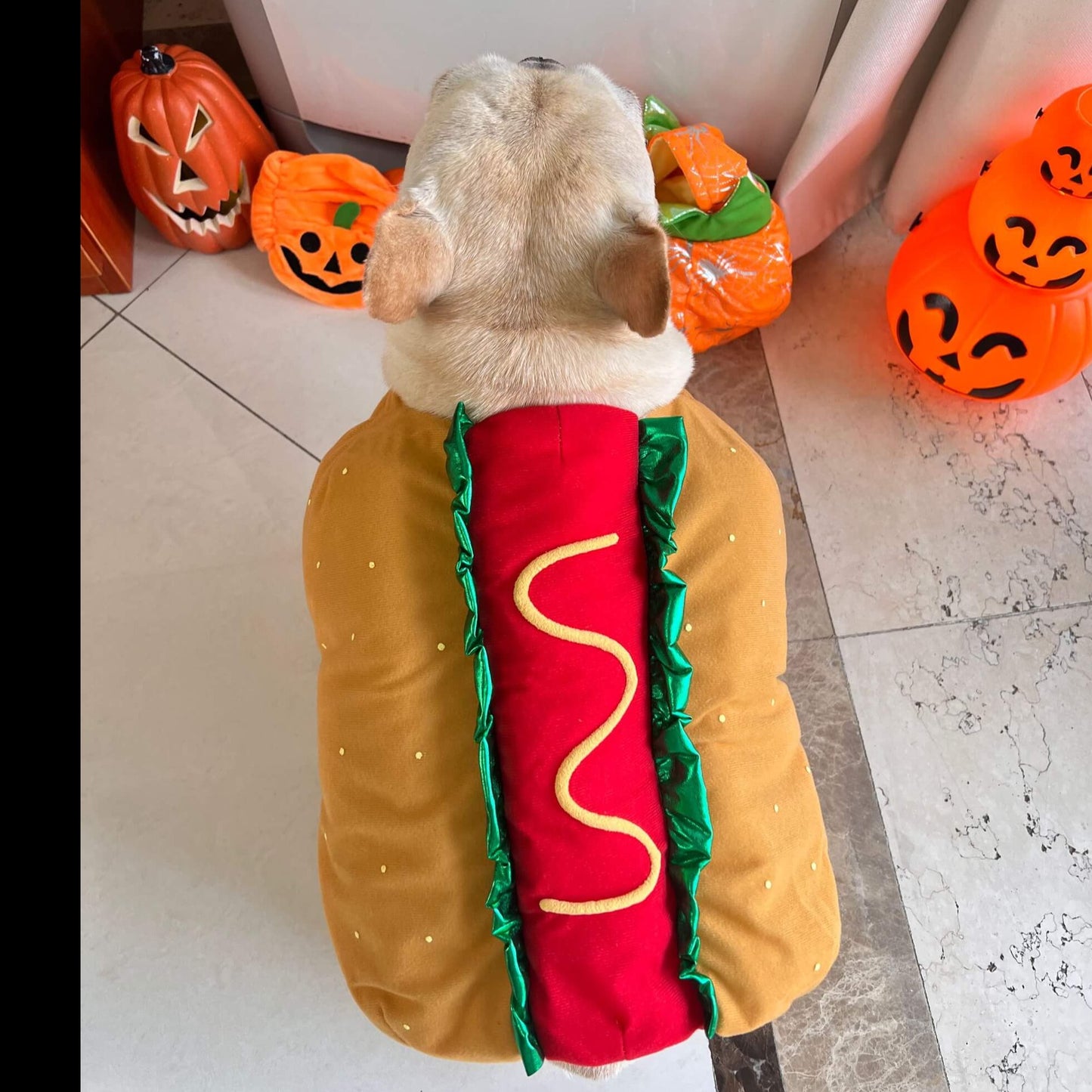 dog hot dog costume for small medium dogs by Frenchiely