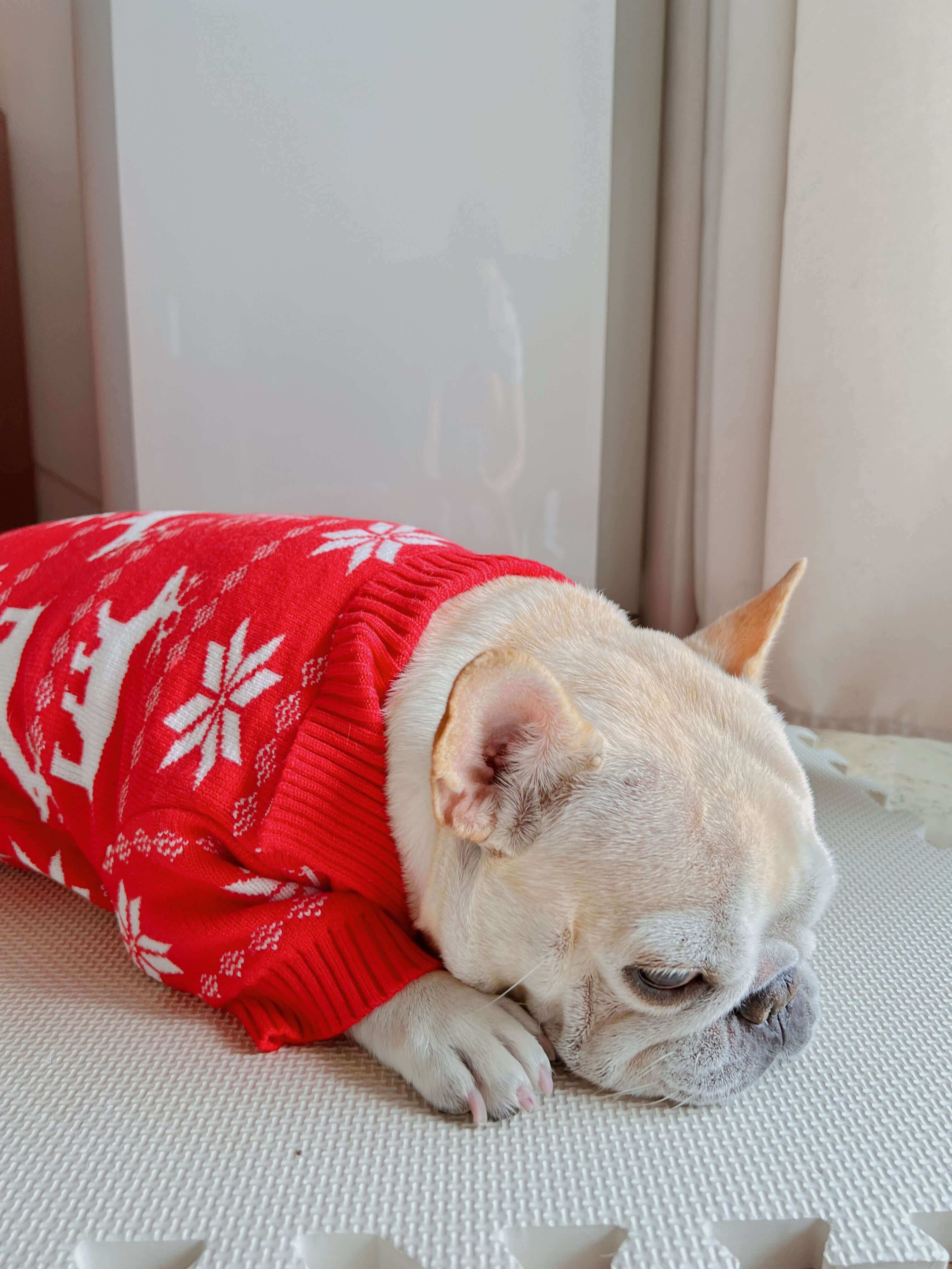 Dog red Christmas outfits sweater for small medium dogs by Frenchiely