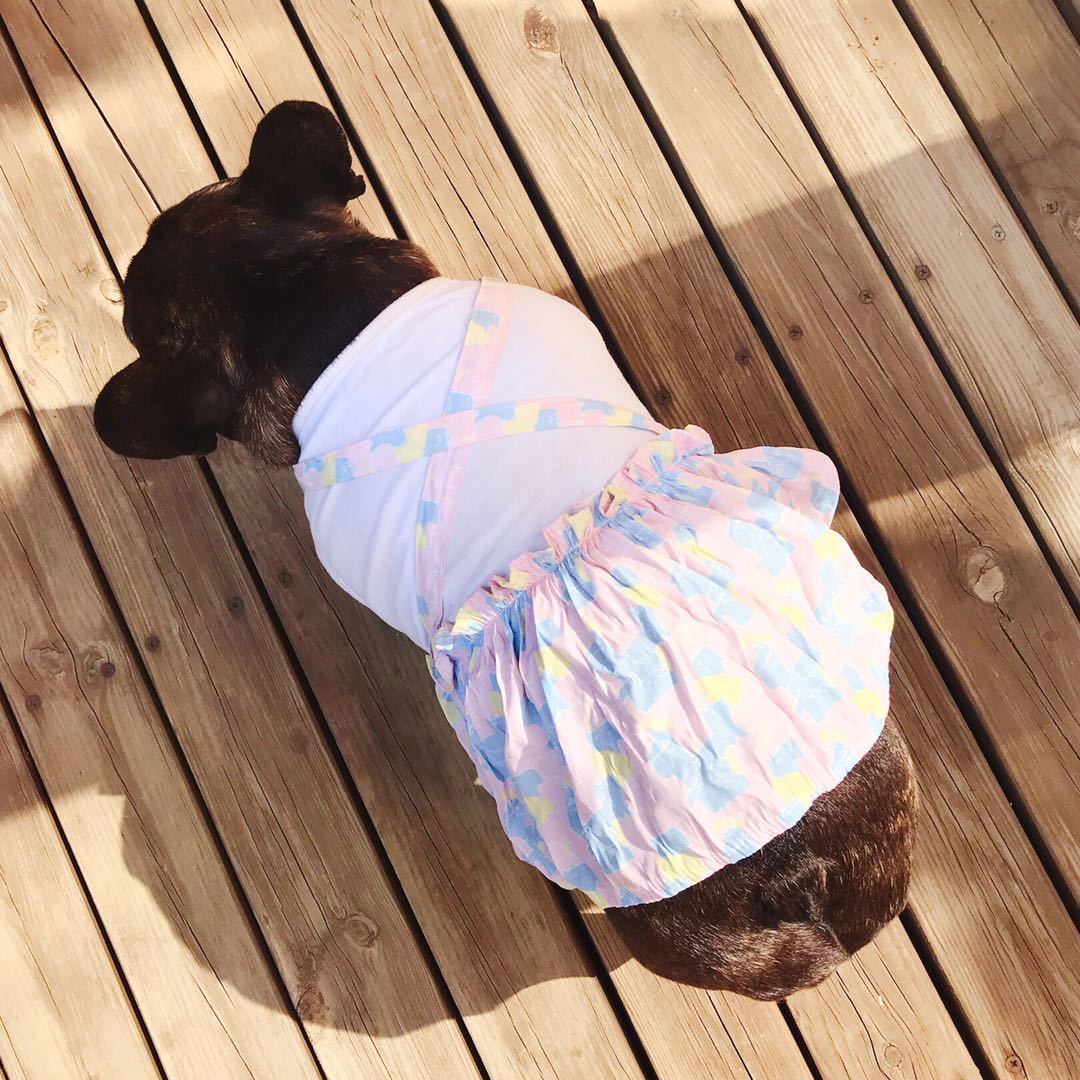 Purple Dog Shirt Dress for Female Bulldogs - Frenchiely