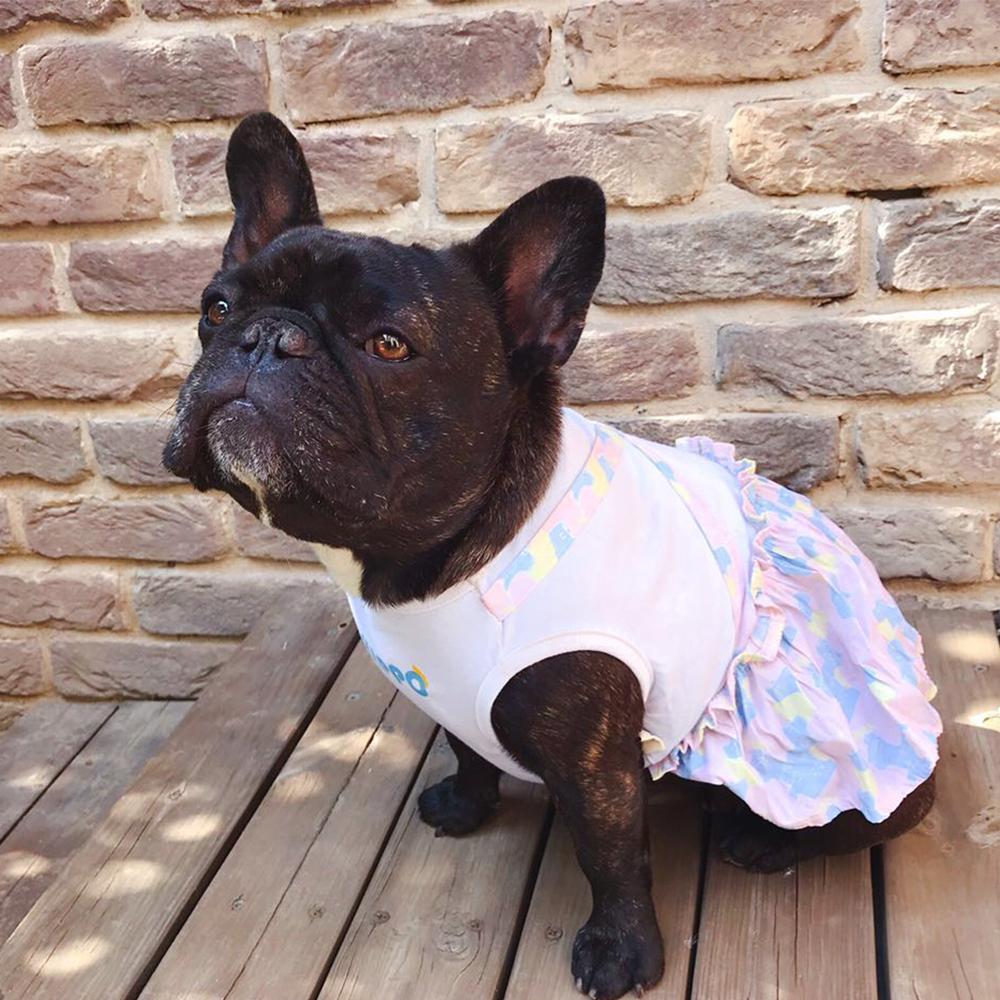 Purple Dog Shirt Dress for Female Bulldogs - Frenchiely