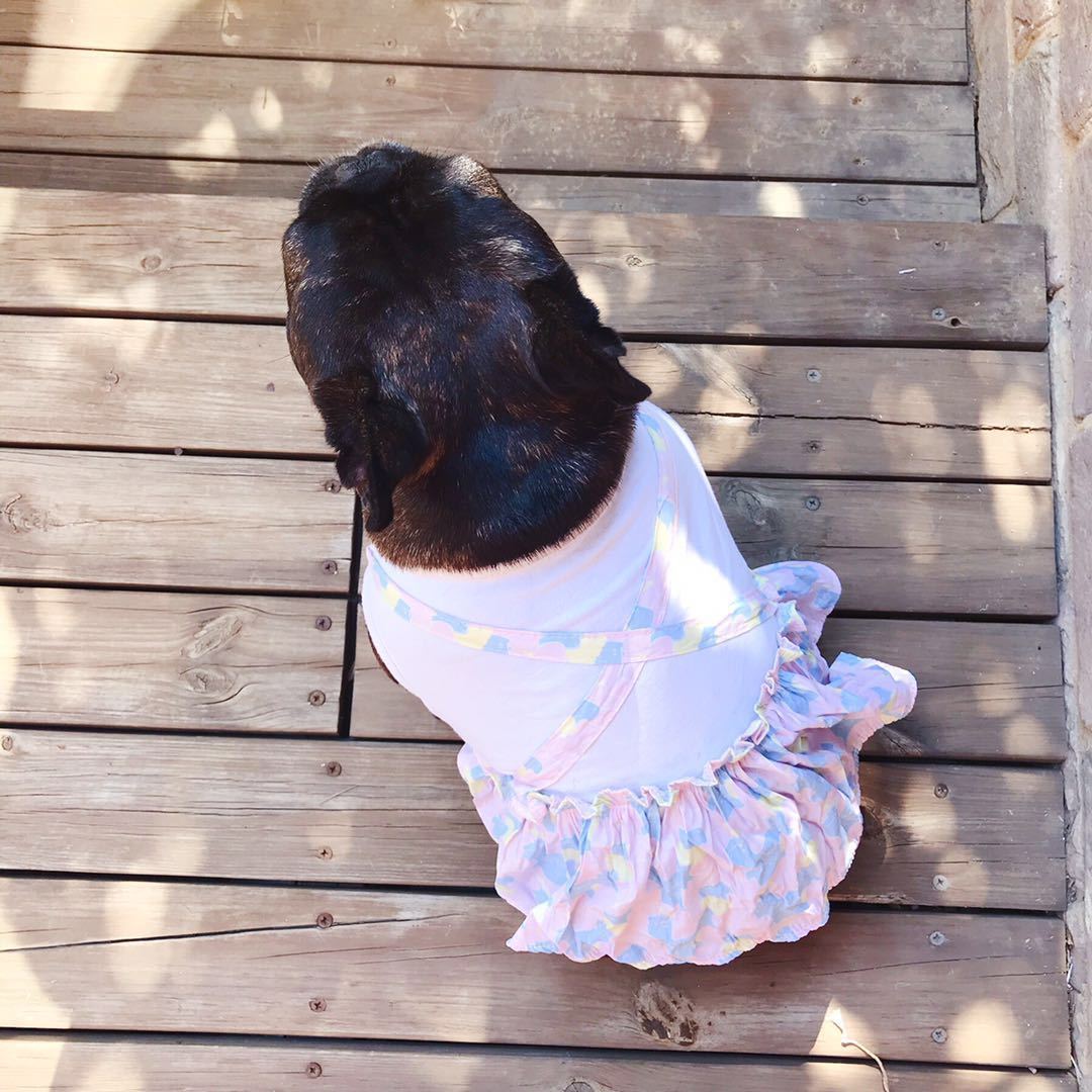 Purple Dog Shirt Dress for Female Bulldogs - Frenchiely