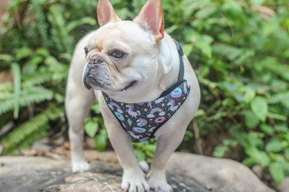 reversible dog harnesses for french bulldogs - Frenchiely