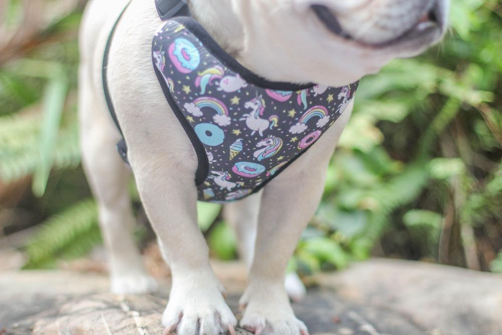 reversible dog harnesses for french bulldogs - Frenchiely