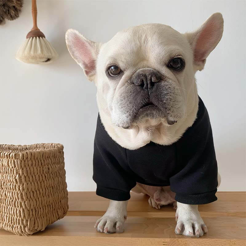 dog unlock me shirt for small medium dogs 