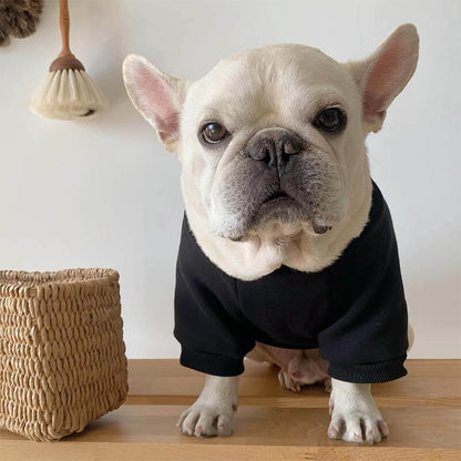 dog unlock me shirt for small medium dogs 