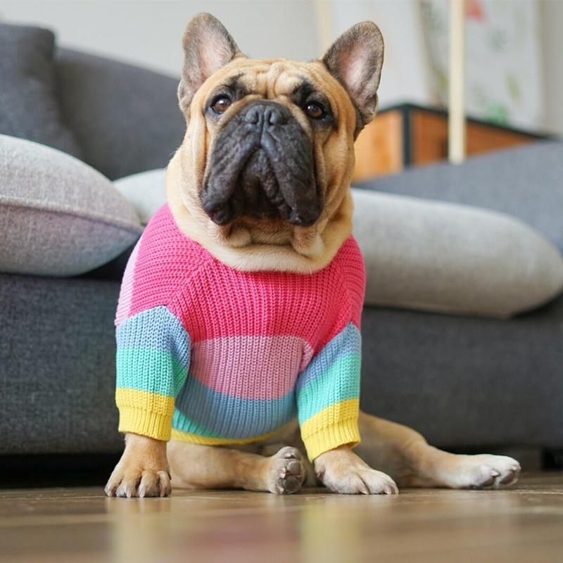 Rainbow Sweater French Bulldog Clothes Patterns - Frenchiely