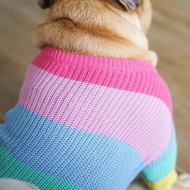Rainbow Sweater French Bulldog Clothes Patterns - Frenchiely