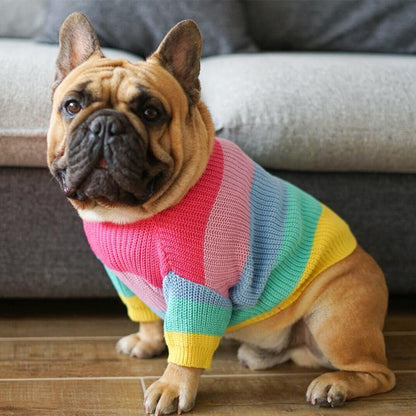 Rainbow Sweater French Bulldog Clothes Patterns - Frenchiely