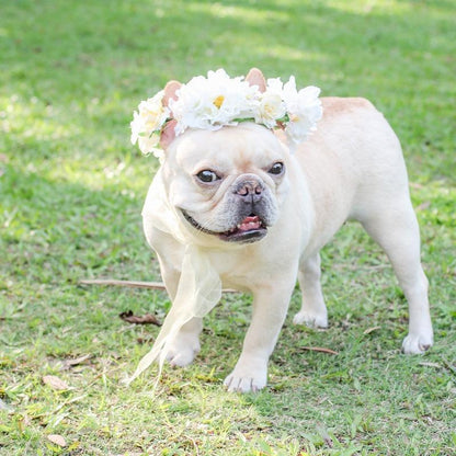 Dog Wedding Garland for Medium Dogs - Frenchiely