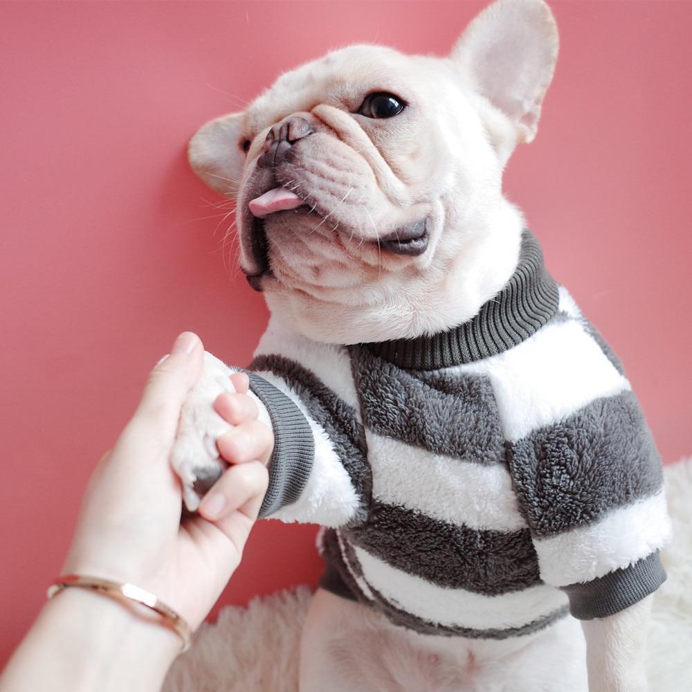 Striped Turtleneck Sweater for Bulldogs - Frenchiely