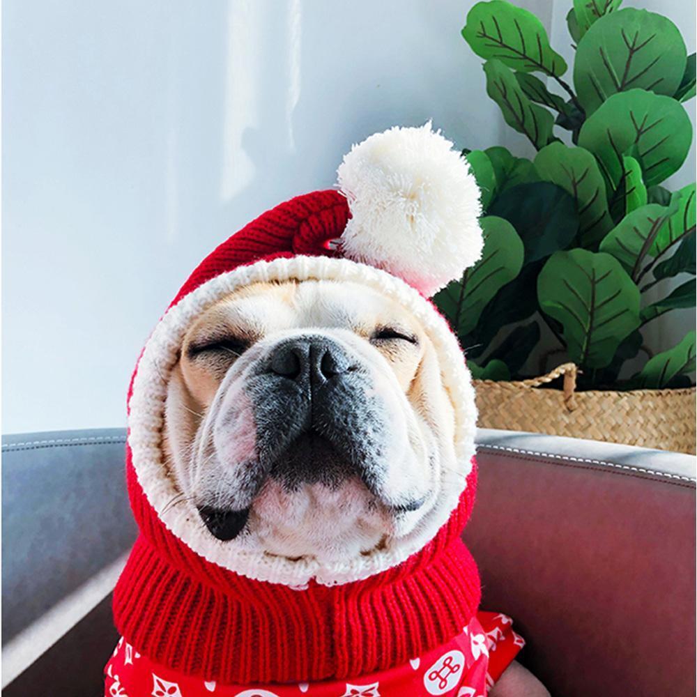 Dog Ear Warmer Christmas Knitted Hats for French Bulldog - Frenchiely