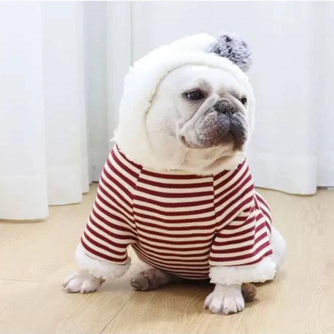 French Bulldog Warm Winter Hoodie Coat - Frenchiely