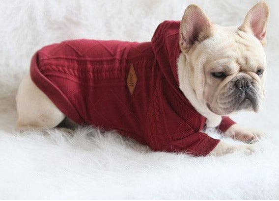 zipper up dog sweater with hood for french bulldogs